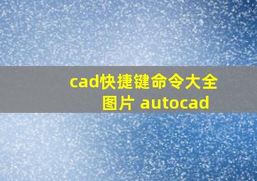 cad快捷键命令大全图片 autocad